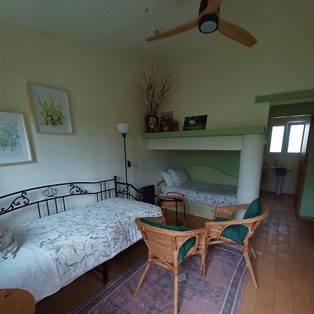 Quinta Do Cano Évora Dış mekan fotoğraf