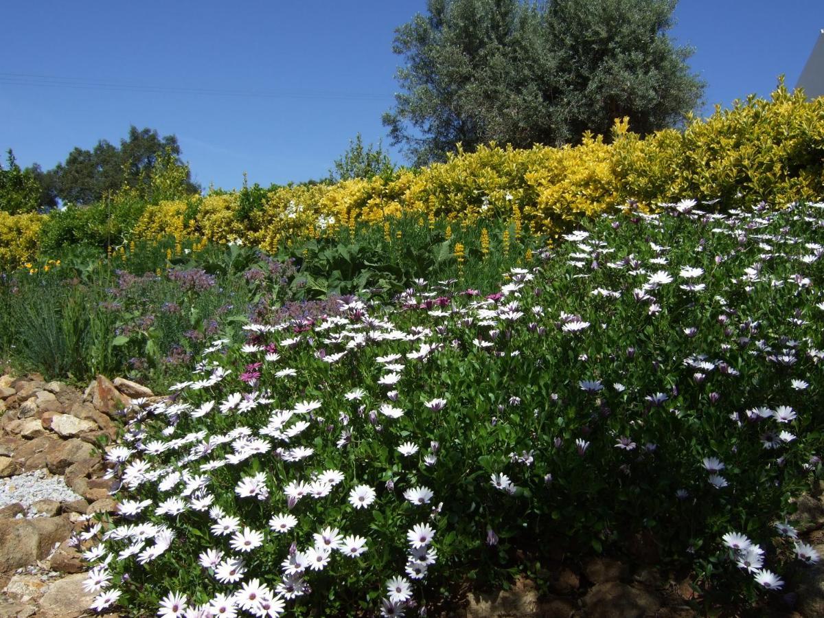 Quinta Do Cano Évora Dış mekan fotoğraf